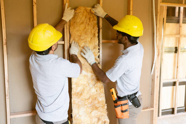 Best Blown-In Insulation  in South Cleveland, TN