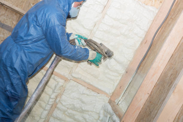 Best Soundproof Insulation  in South Cleveland, TN